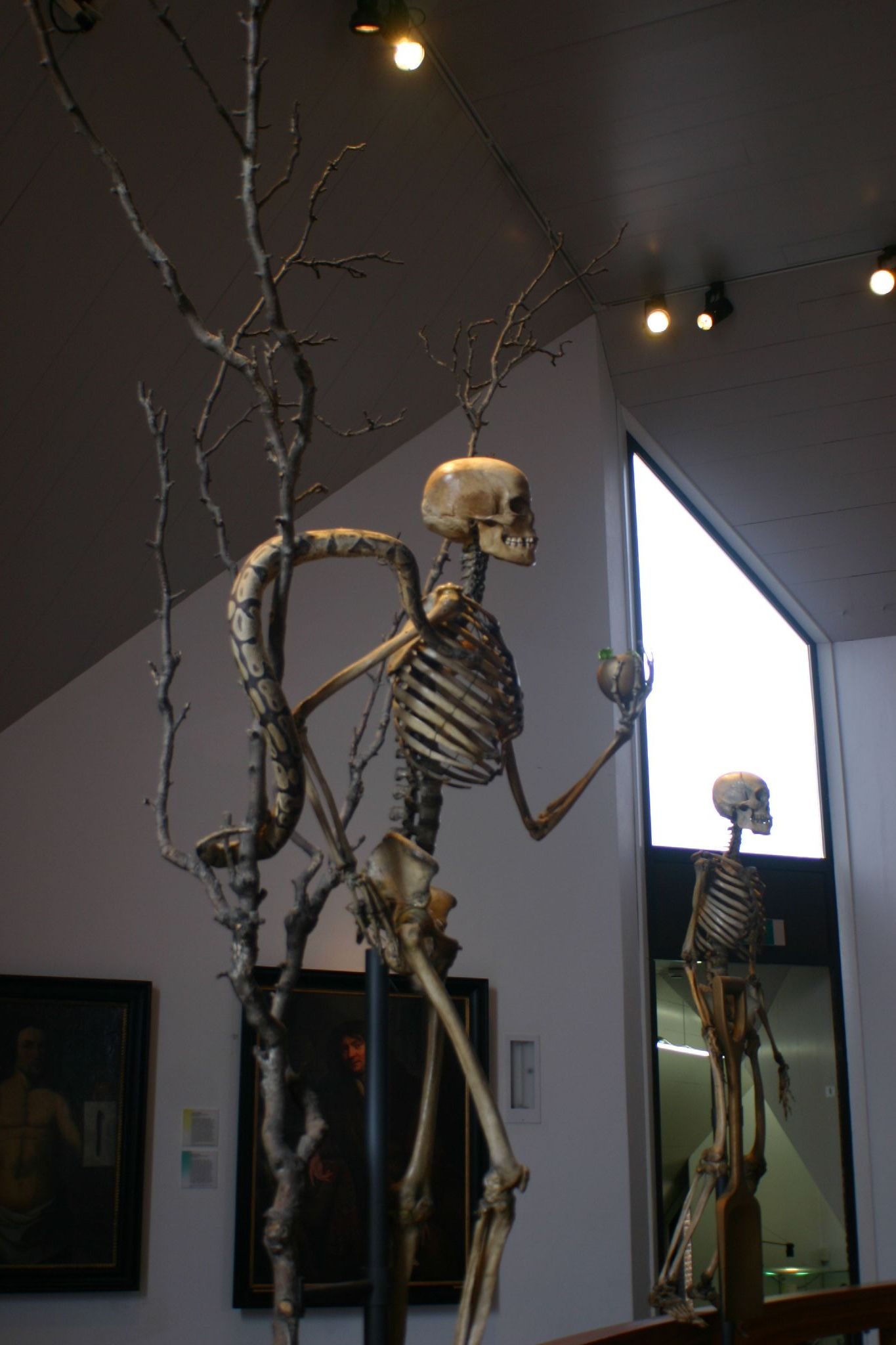 Boerhaave Museum, Leiden - 3.jpg